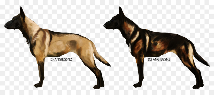 Raza De Perro，Malinois Perro PNG