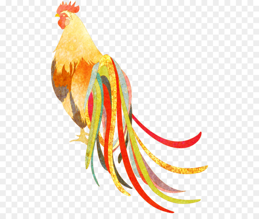 Gallo，Pluma PNG