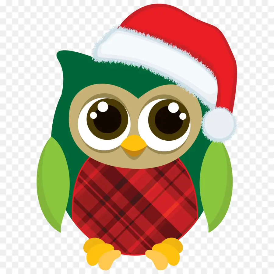 Búho De Navidad，Gorro De Papá Noel PNG