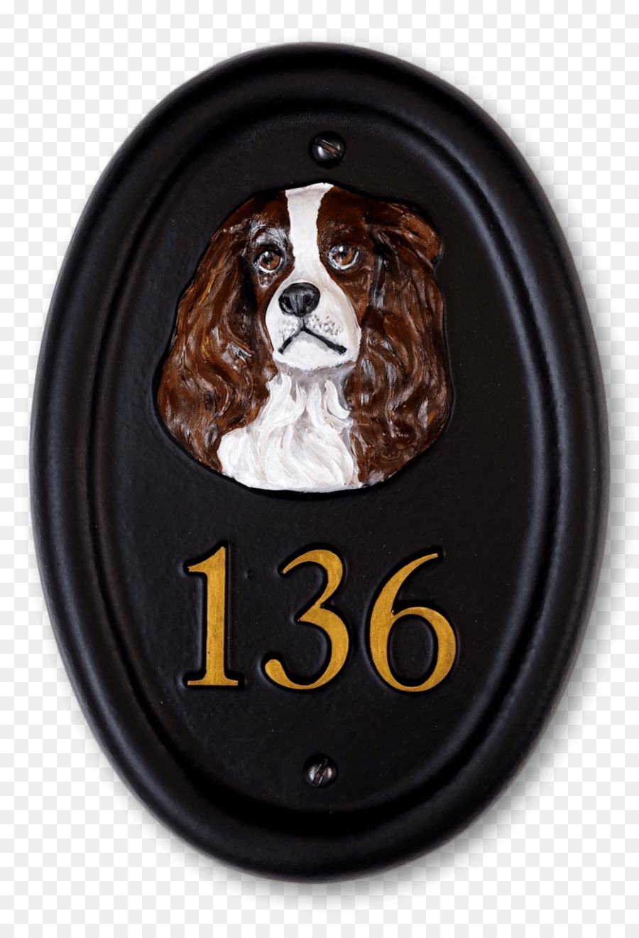 Spaniel，Perro PNG