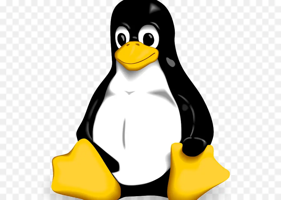 Pingüino，Dibujos Animados PNG