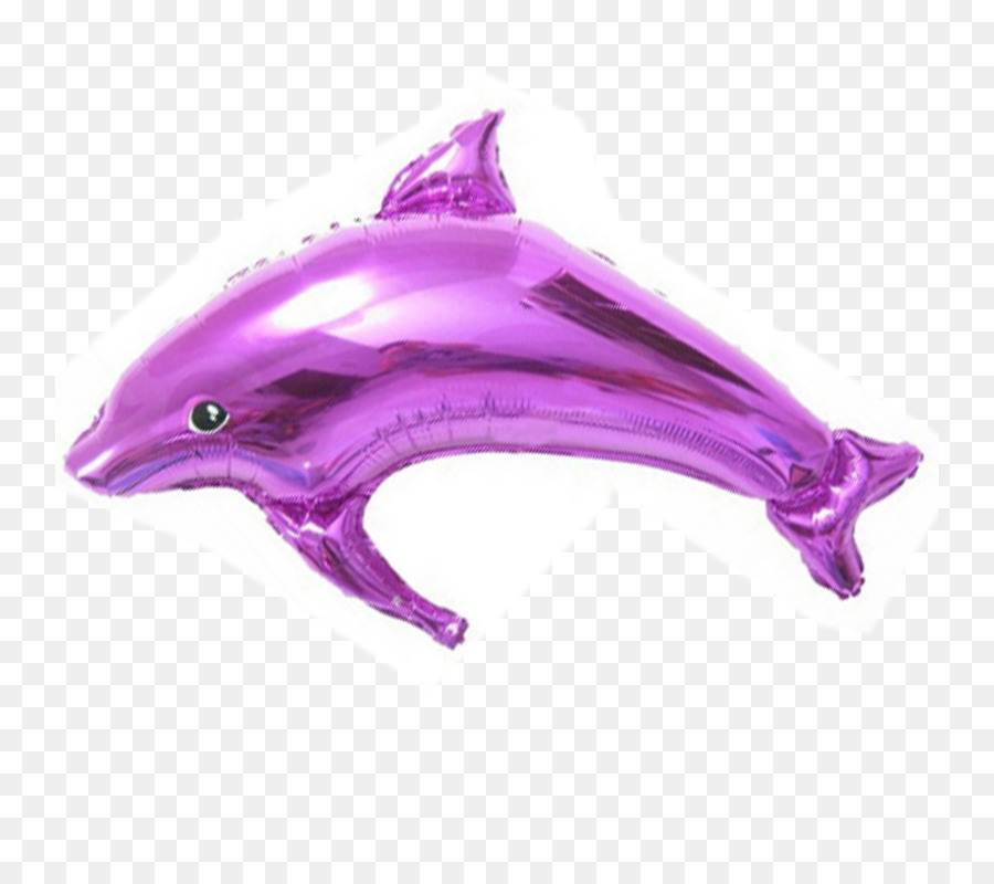 Dolphin，Biología Marina PNG