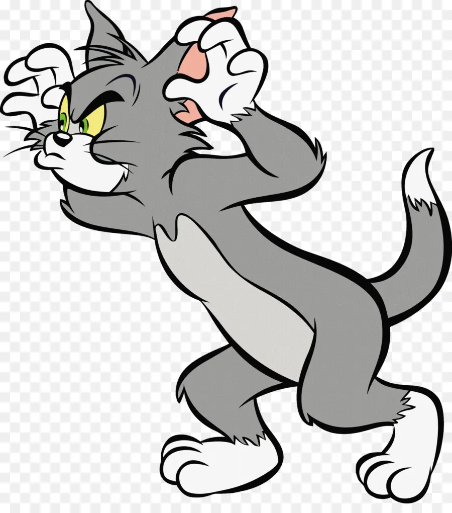 El Ratón Jerry，Gato Tom PNG