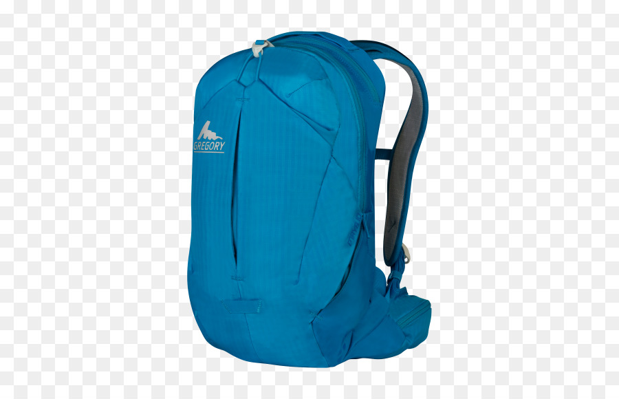 Mochila，Quechua Nh100 10l PNG