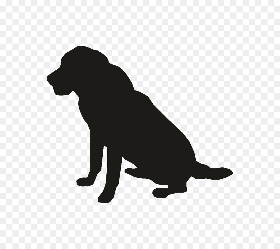 Labrador Retriever，Cachorro PNG