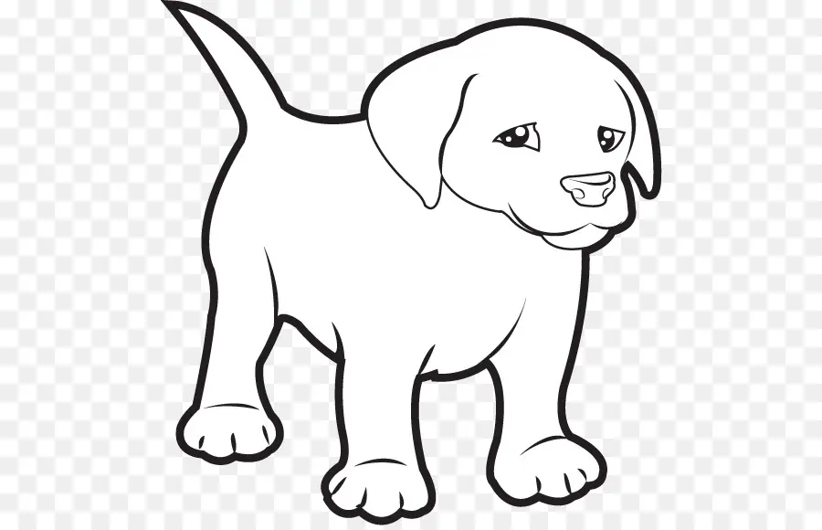 Lindo Cachorro，Perro PNG