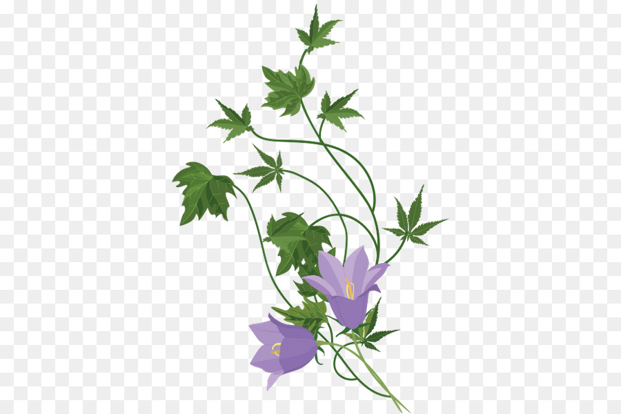 Flor，Maceta PNG