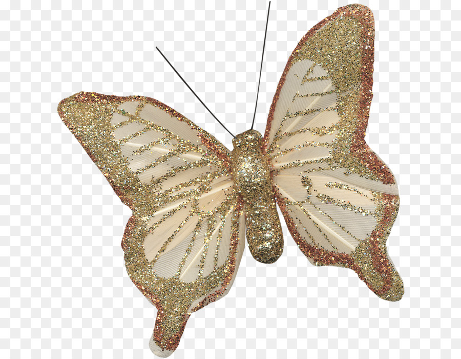 Nymphalidae，Mariposa PNG