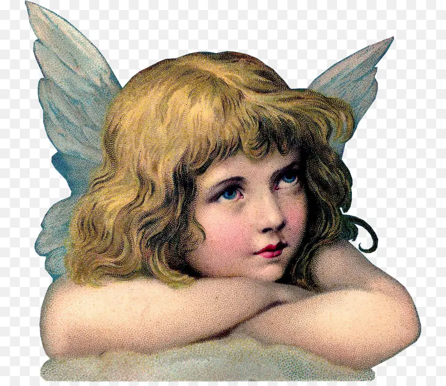 Ángel Con Alas，Niño PNG