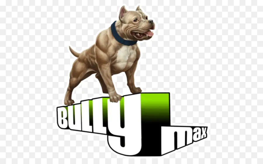American Bully，Pit Bull PNG
