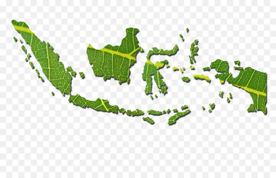 Bali，Mundo PNG