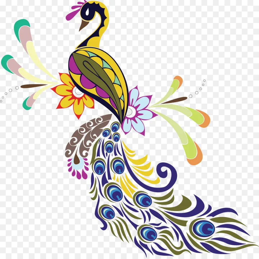 Pavo Real，Pluma PNG