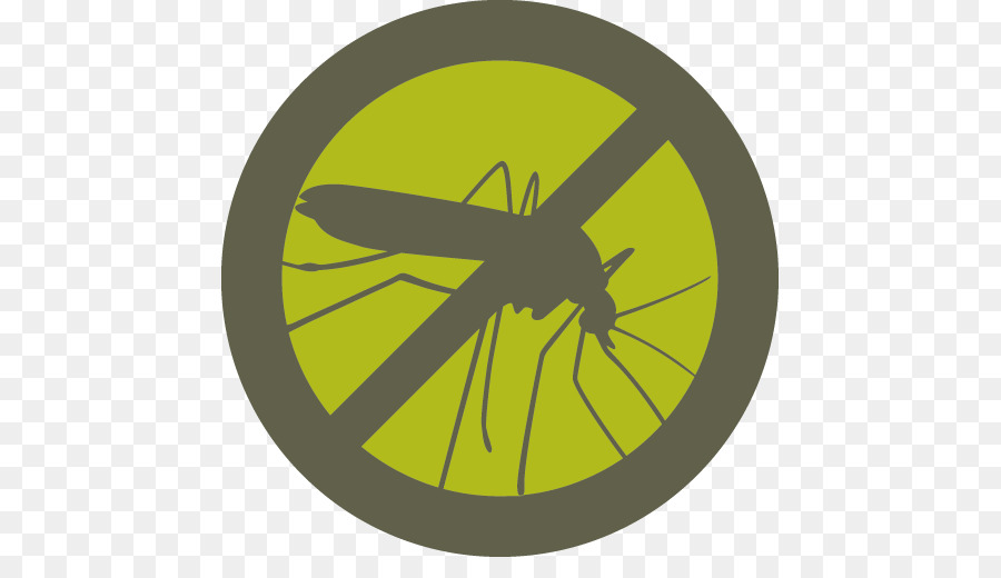 Mosquito，Insecto PNG