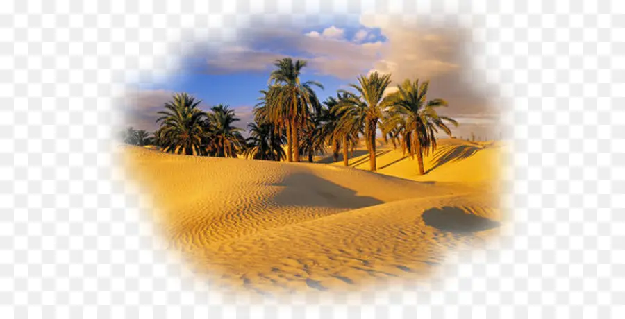 Sahara，Oasis PNG