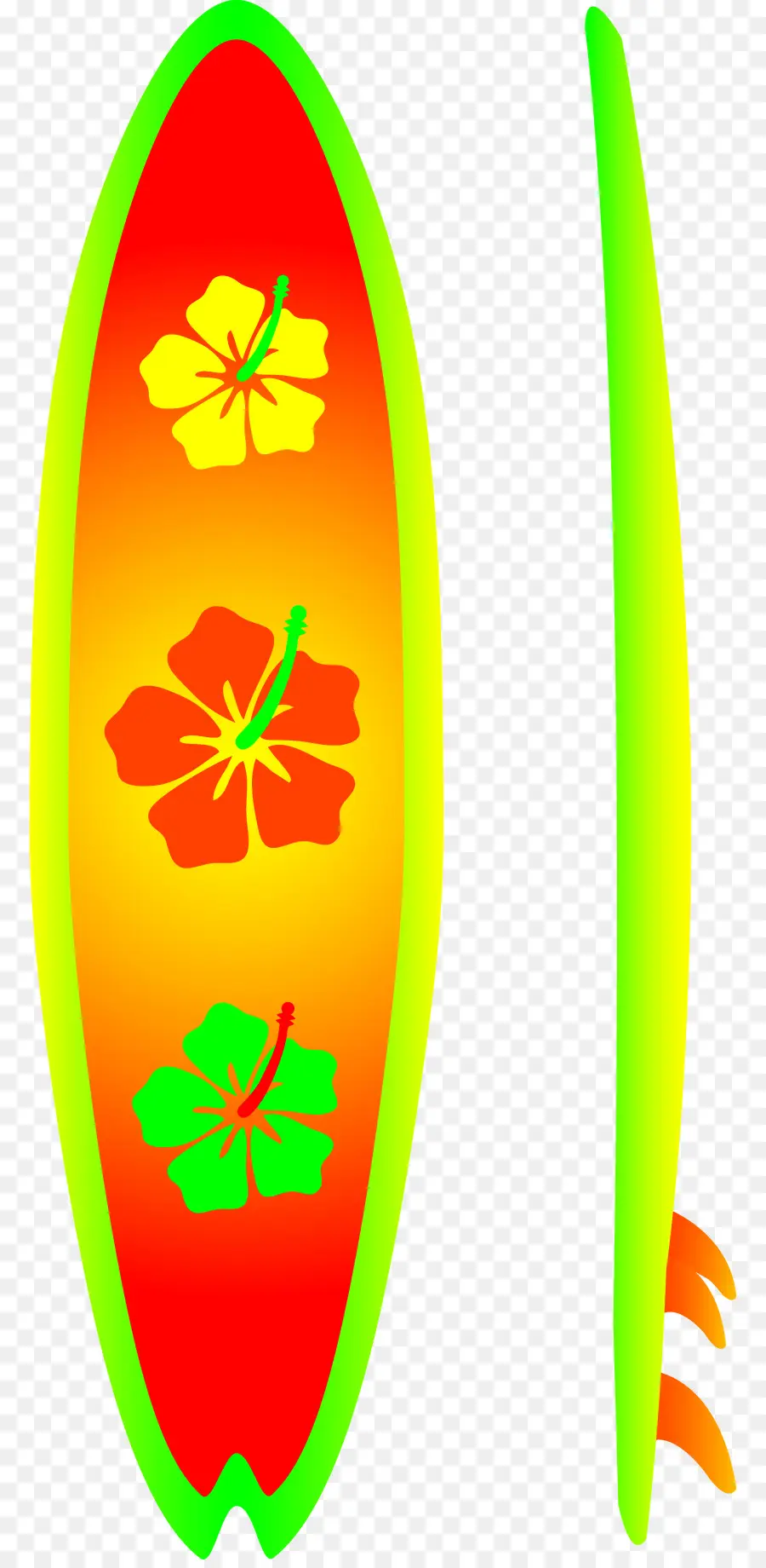 Tabla De Surf，Hibisco PNG