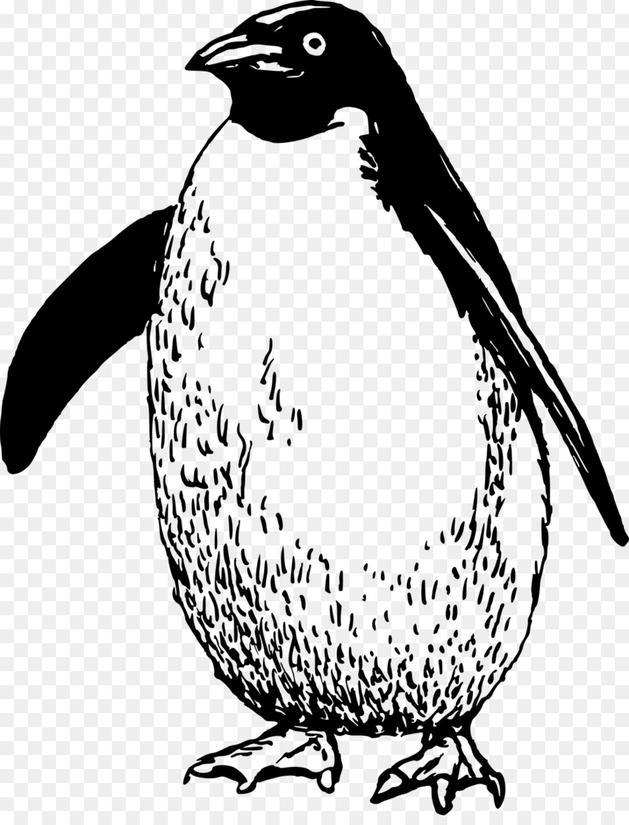 Penguin，Pájaro PNG