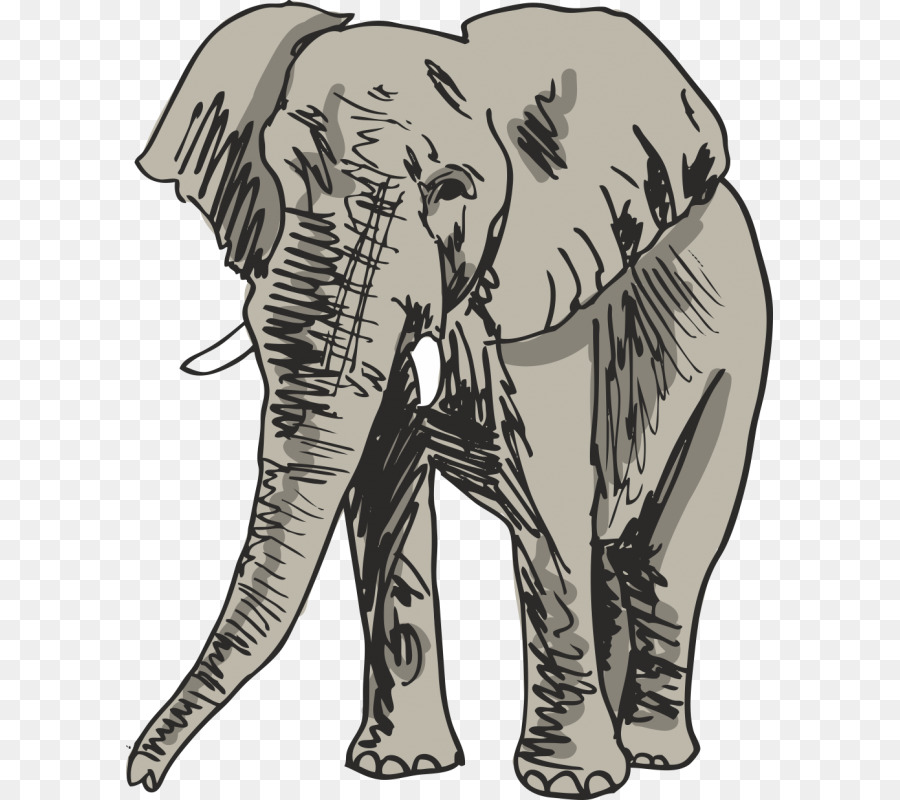 Elefante，Fauna PNG