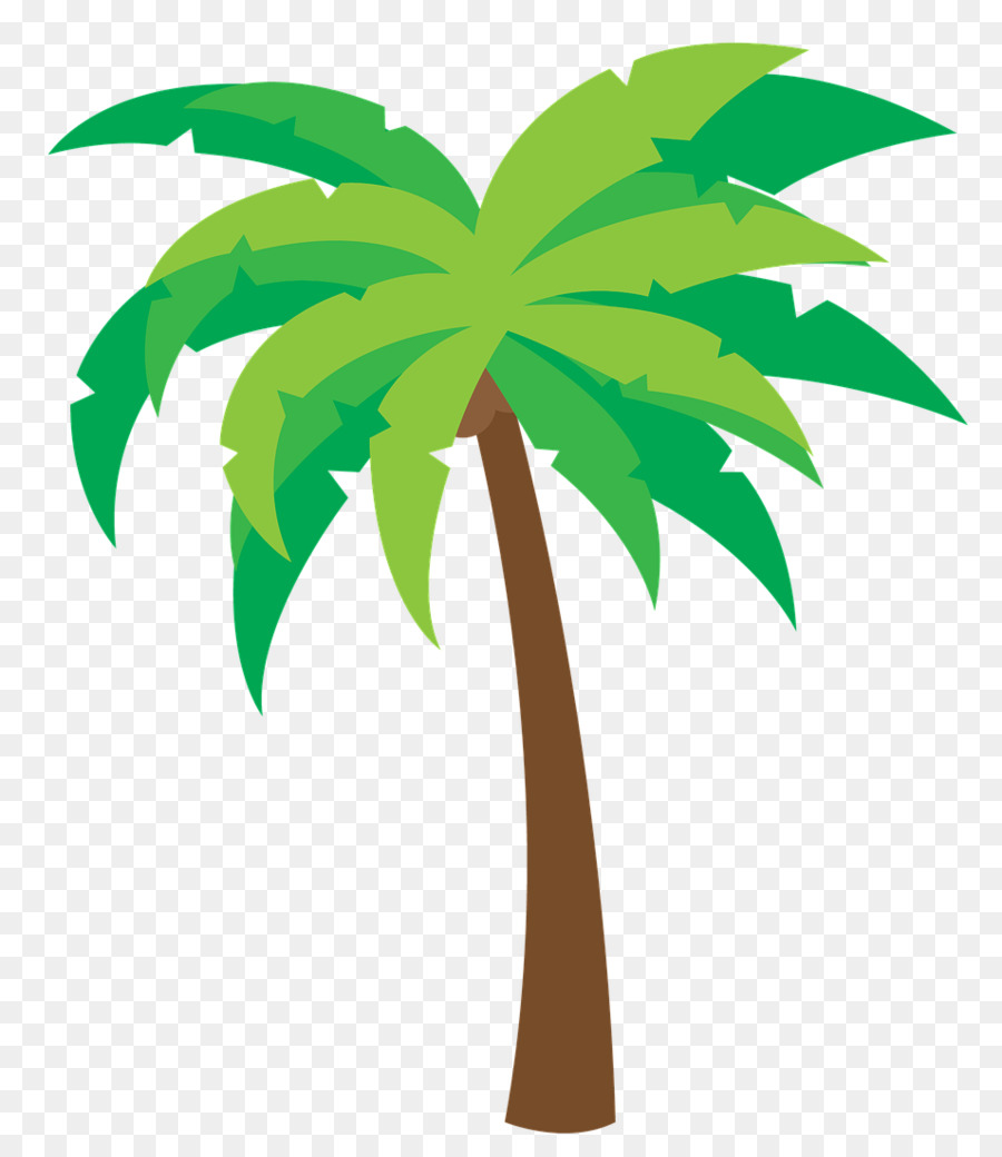 La Palma，árbol PNG