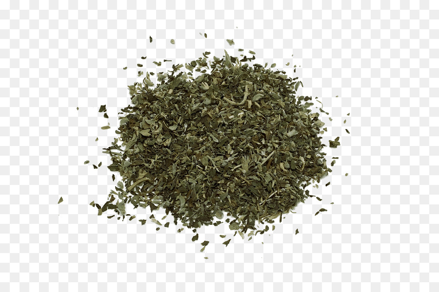 Té，Sencha PNG