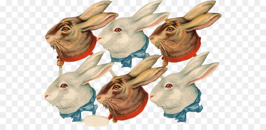 Conejos，Conejito PNG