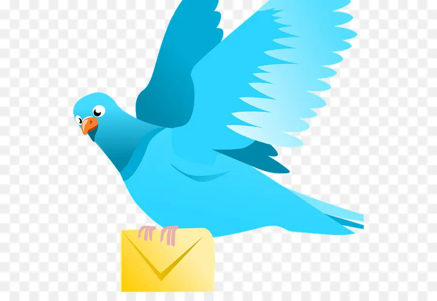 Pájaro Azul Con Sobre，Vuelo PNG