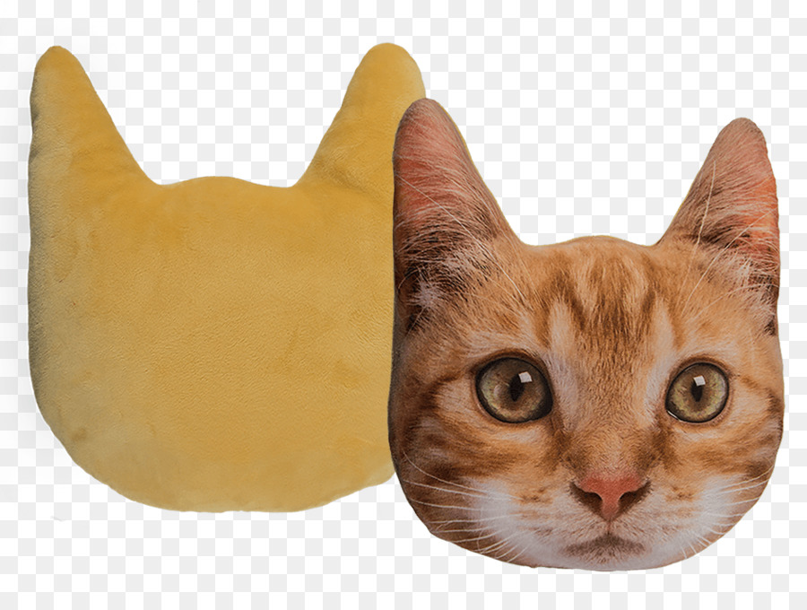 Gato，Almohada PNG