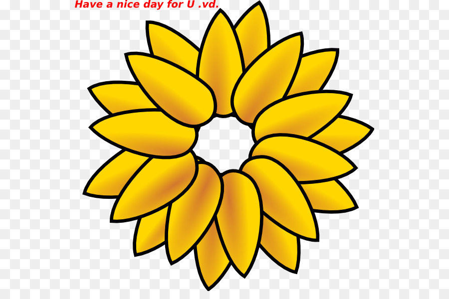 Dibujo，Común De Girasol PNG