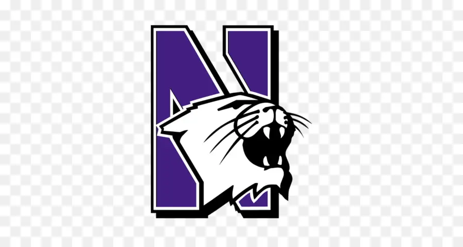 Northwestern Wildcats Football，Northwestern Wildcats Men Baloncesto PNG