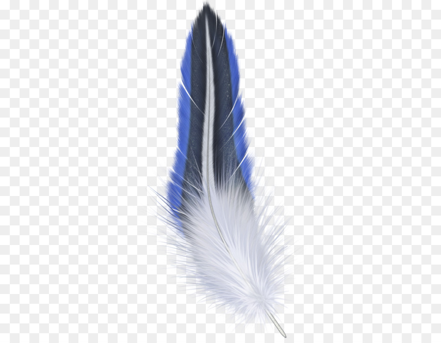 Pluma，Formatos De Archivo De Imagen PNG