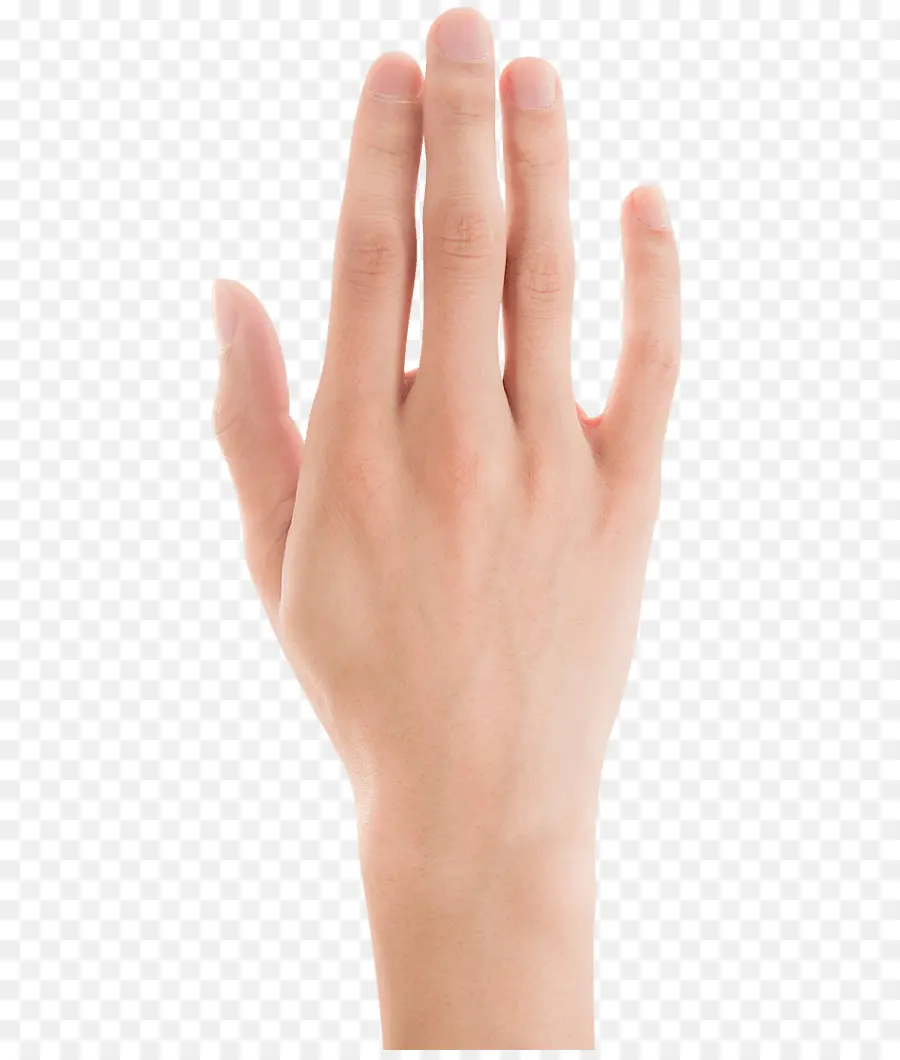 Mano，Dedos PNG