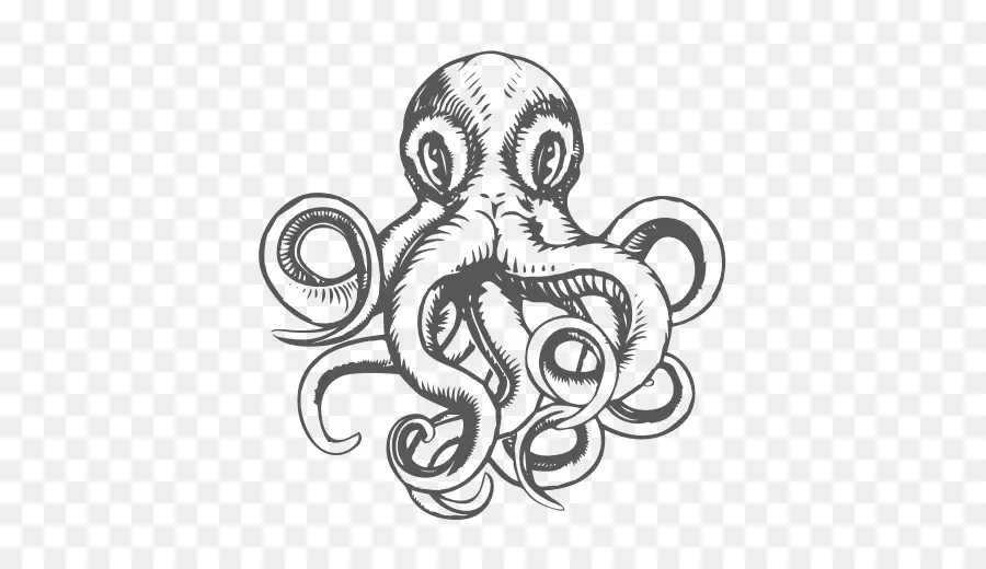 Pulpo，Dibujo PNG