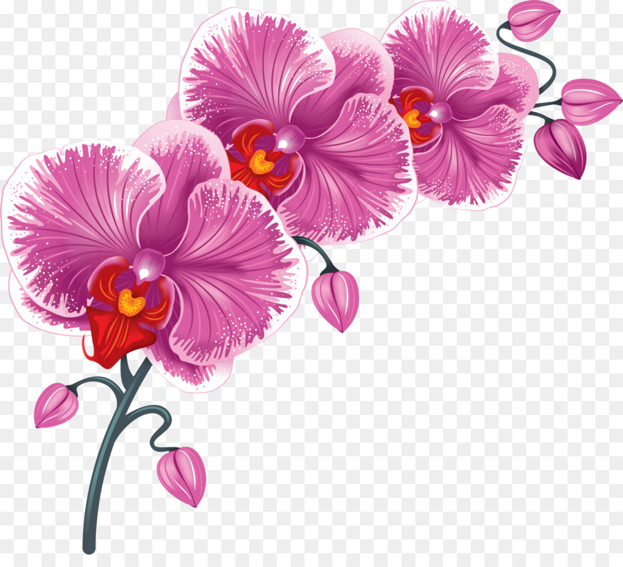 Fondo De Escritorio，Flor PNG