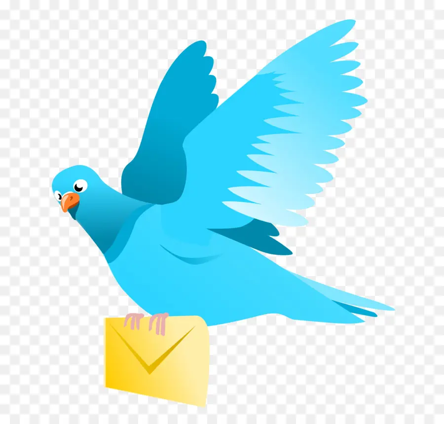 Inglés Paloma Mensajera，Homing Pigeon PNG