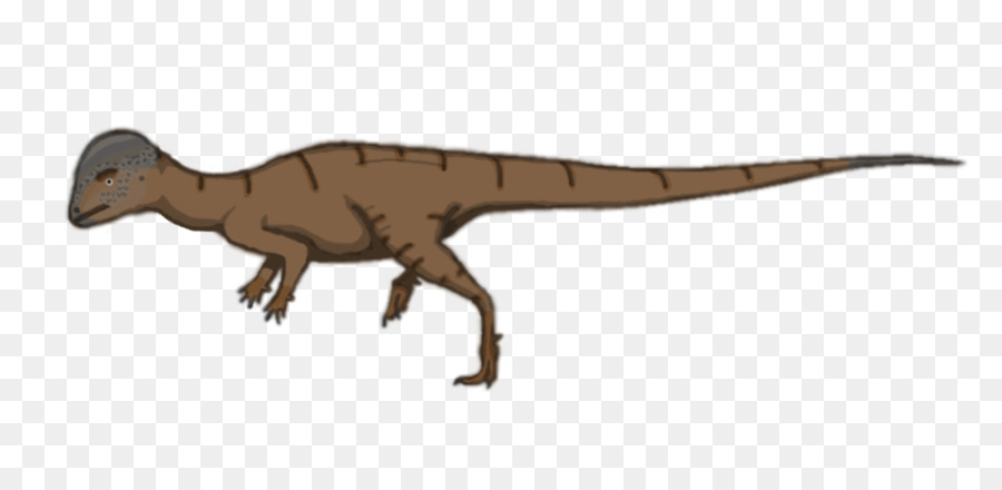 Velociraptor，El Parque De Dinosaurios De La Formación PNG