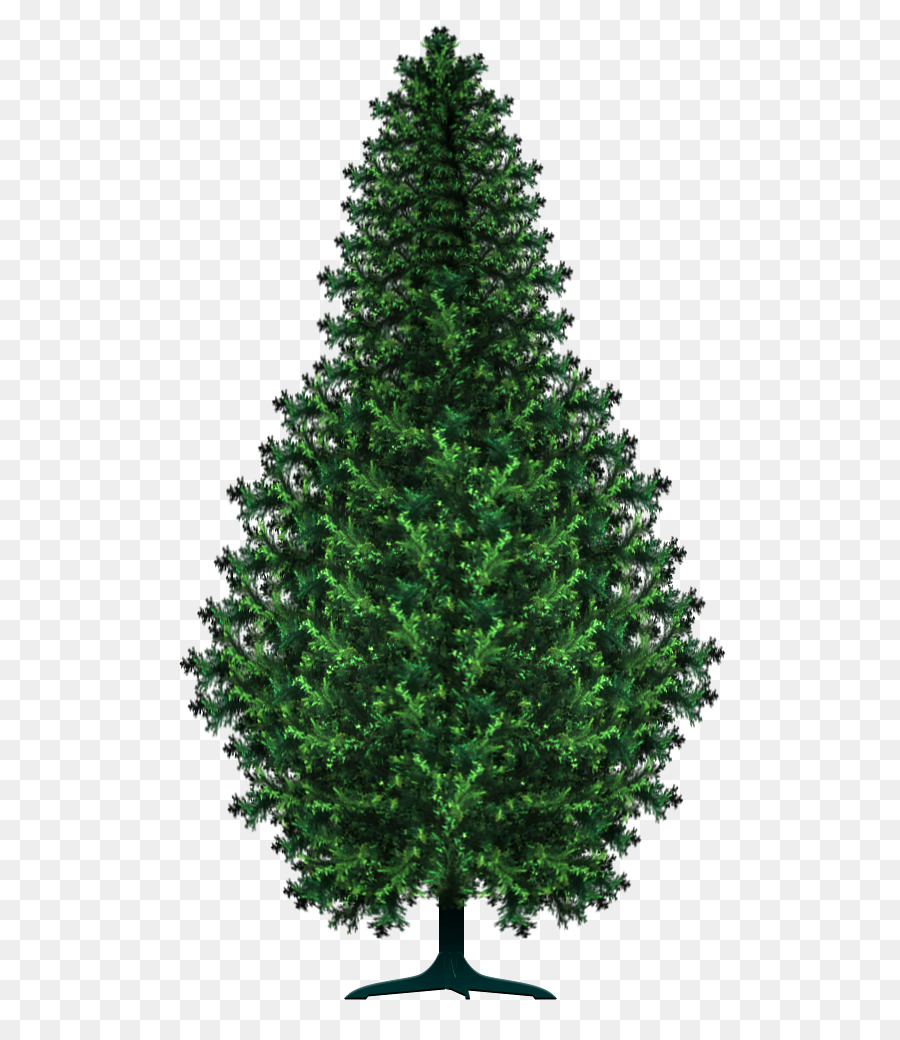 Árbol，Naturaleza PNG