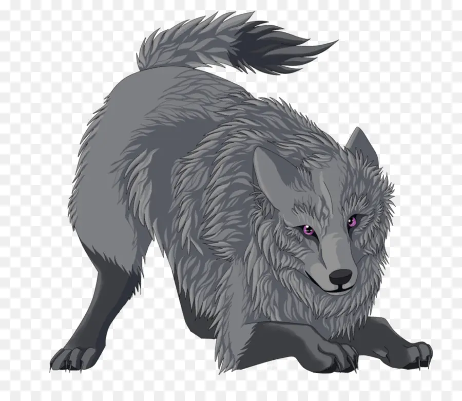 Lobo Gris，Fox PNG