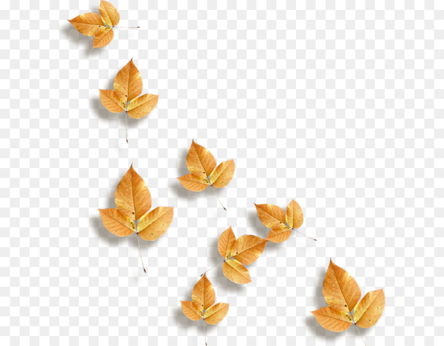 Hojas De Otoño，Caer PNG