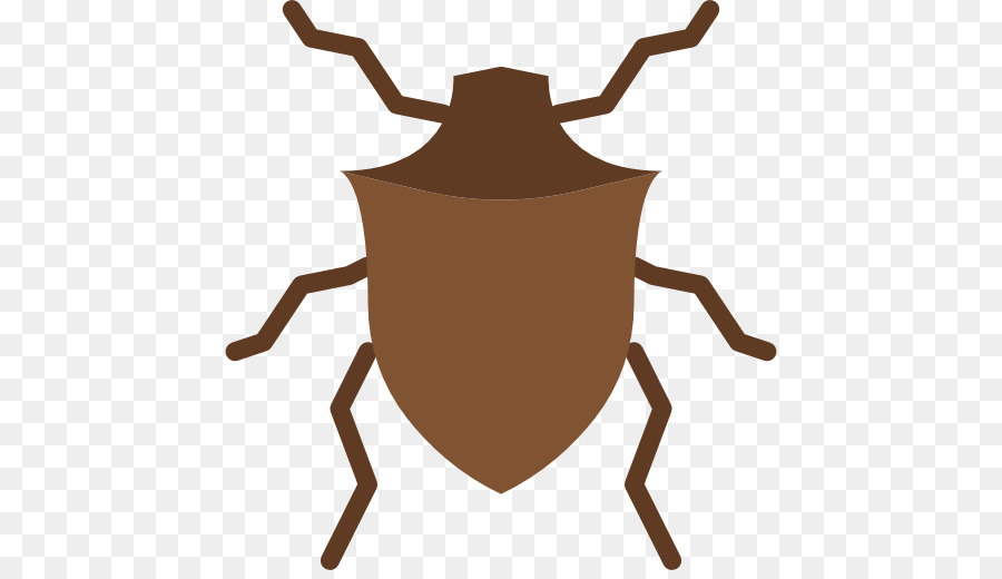 Insecto Marrón，Piernas PNG