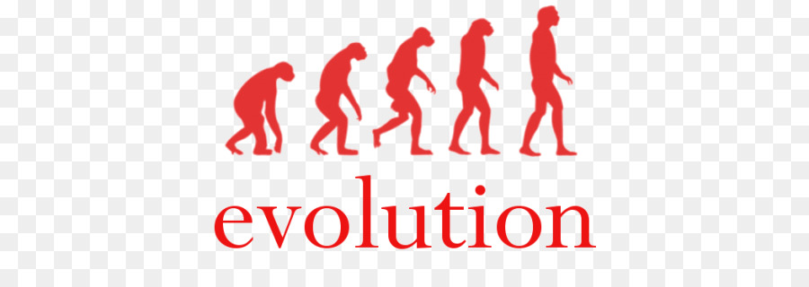 Evolución，La Evolución Humana PNG