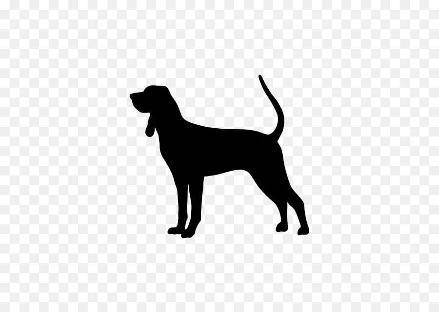 Bluetick Coonhound，Negro Y Tan Coonhound PNG