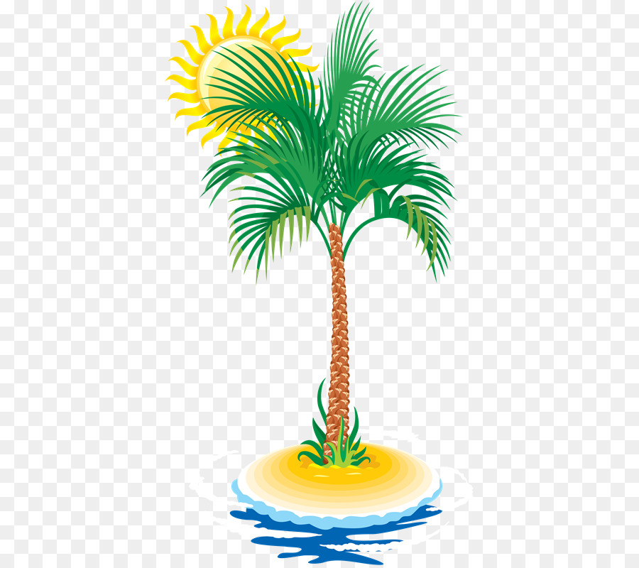 Arecaceae，árbol PNG