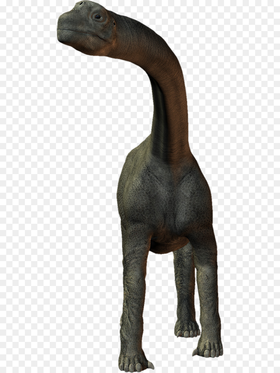 Velociraptor，Tyrannosaurus PNG