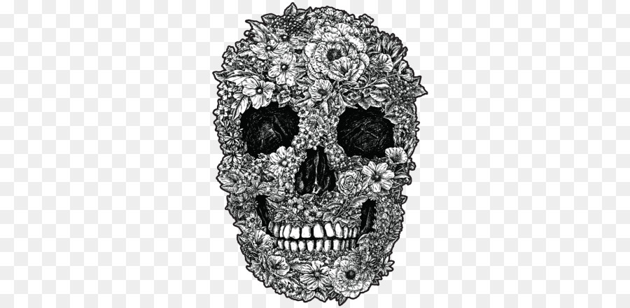 Calavera，Cráneo PNG