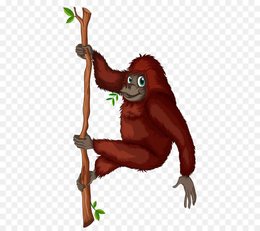 Orangután，árbol PNG