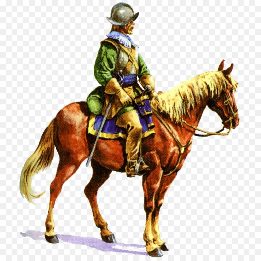 Jinete Del Caballo，Caballo PNG