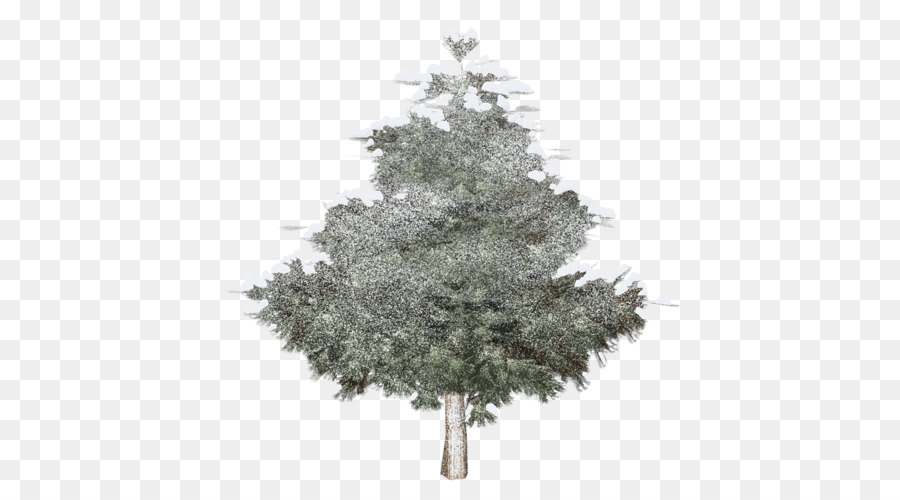 Abeto，árbol PNG