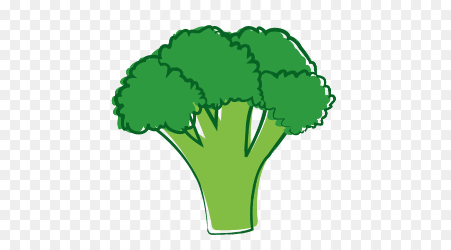 Brócoli，Verde PNG