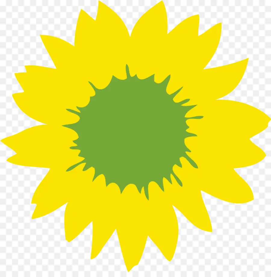 Girasol，Amarillo PNG