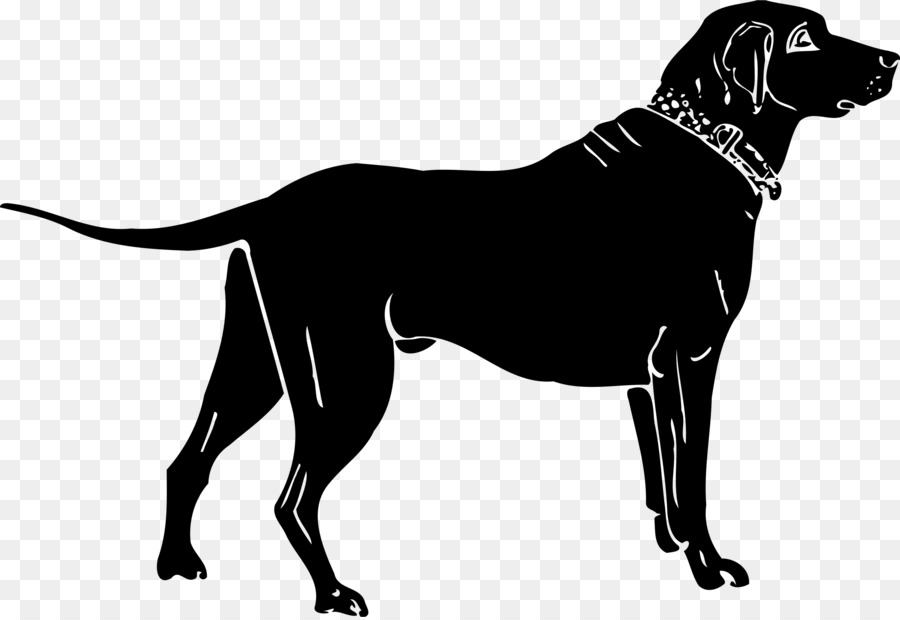 Labrador Retriever，Dachshund PNG