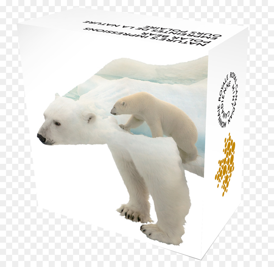 Oso Polar，ártico PNG